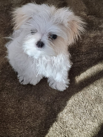 10-10-25 lekker gewassen nog niet helemaal droog